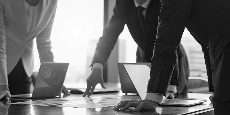 Business Intelligence and Consulting